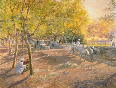 Werken voor water, Rajasthan, 1997 door Tim Scott Bolton